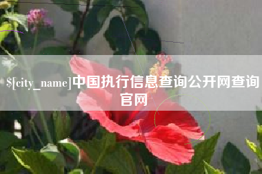 驻马店中国执行信息查询公开网查询官网
