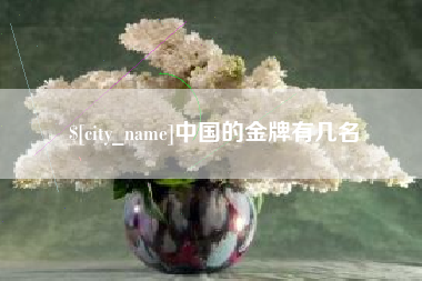 驻马店中国的金牌有几名