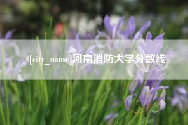 驻马店河南消防大学分数线