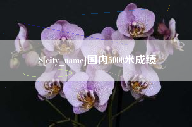 驻马店国内5000米成绩
