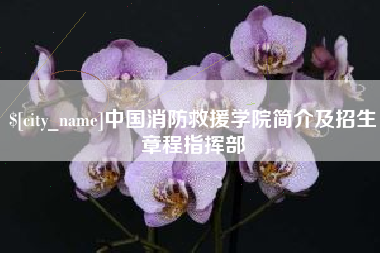 驻马店中国消防救援学院简介及招生章程指挥部