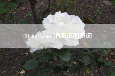 驻马店消防证的查询