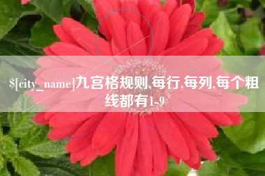 驻马店九宫格规则,每行,每列,每个粗线都有1-9