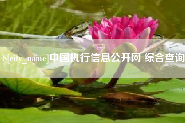 驻马店中国执行信息公开网 综合查询