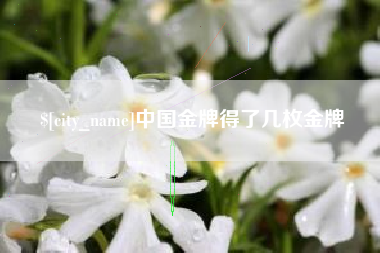 驻马店中国金牌得了几枚金牌