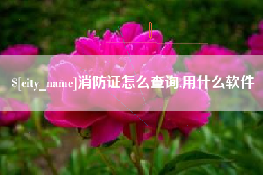 驻马店消防证怎么查询,用什么软件