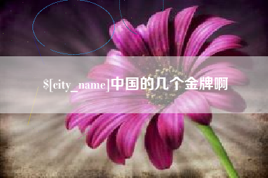 驻马店中国的几个金牌啊