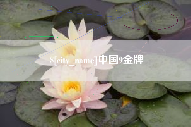 驻马店中国9金牌