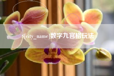 驻马店数字九宫格玩法