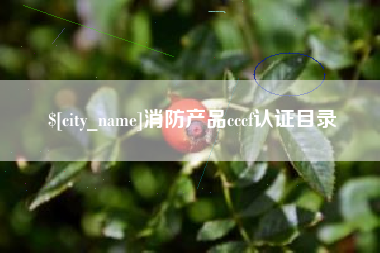驻马店消防产品cccf认证目录