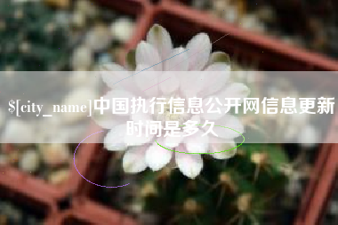 驻马店中国执行信息公开网信息更新时间是多久