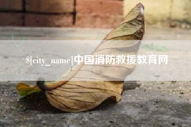驻马店中国消防救援教育网