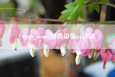驻马店消防设备ccc认证