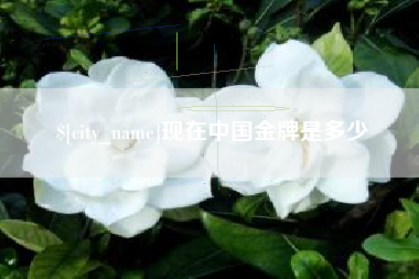 驻马店现在中国金牌是多少
