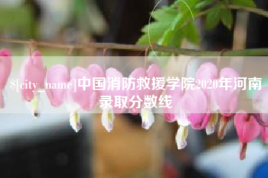 驻马店中国消防救援学院2020年河南录取分数线