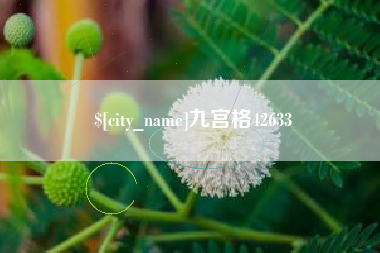 驻马店九宫格42633