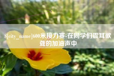 驻马店600米接力赛-在同学们震耳欲聋的加油声中