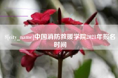 驻马店中国消防救援学院2021年报名时间