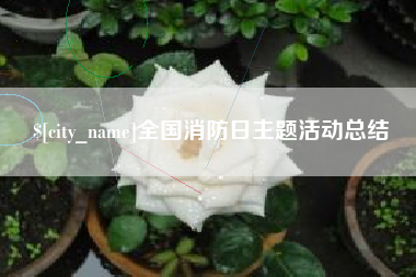 驻马店全国消防日主题活动总结