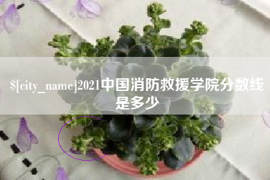 驻马店2021中国消防救援学院分数线是多少