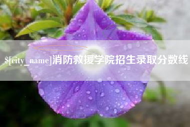 驻马店消防救援学院招生录取分数线