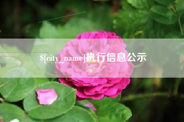 驻马店执行信息公示