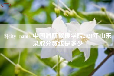 驻马店中国消防救援学院2021年山东录取分数线是多少