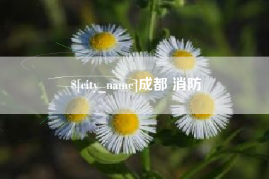 驻马店成都 消防