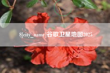 驻马店谷歌卫星地图2025
