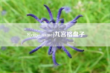 驻马店九宫格盘子