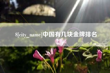 驻马店中国有几块金牌排名