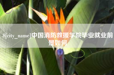 驻马店中国消防救援学院毕业就业前景如何