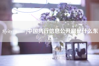 驻马店中国执行信息公开网是什么东西