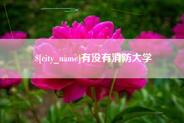 驻马店有没有消防大学