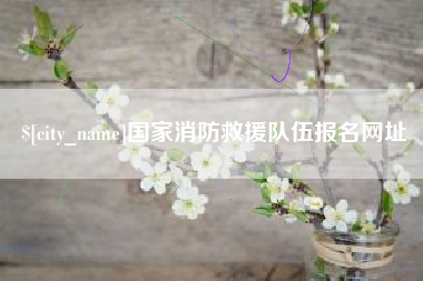 驻马店国家消防救援队伍报名网址