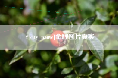 驻马店金牌图片真实