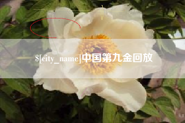 驻马店中国第九金回放