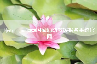 驻马店2020国家消防救援报名系统官网