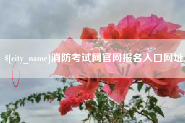 驻马店消防考试网官网报名入口网址