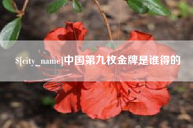 驻马店中国第九枚金牌是谁得的