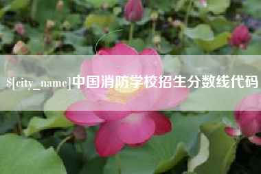 驻马店中国消防学校招生分数线代码