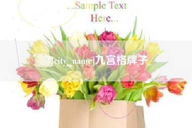 驻马店九宫格牌子