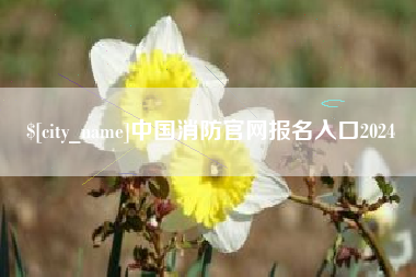 驻马店中国消防官网报名入口2024
