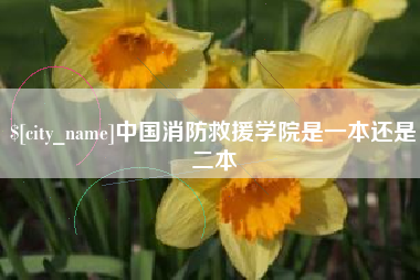 驻马店中国消防救援学院是一本还是二本