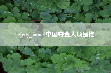 驻马店中国夺金大项是谁