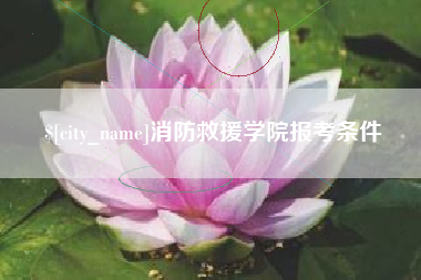 驻马店消防救援学院报考条件
