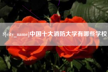 驻马店中国十大消防大学有哪些学校