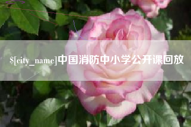 驻马店中国消防中小学公开课回放
