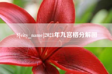 驻马店2021年九宫格分解图