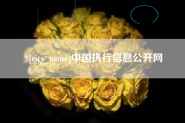 驻马店中国执行信息公开网